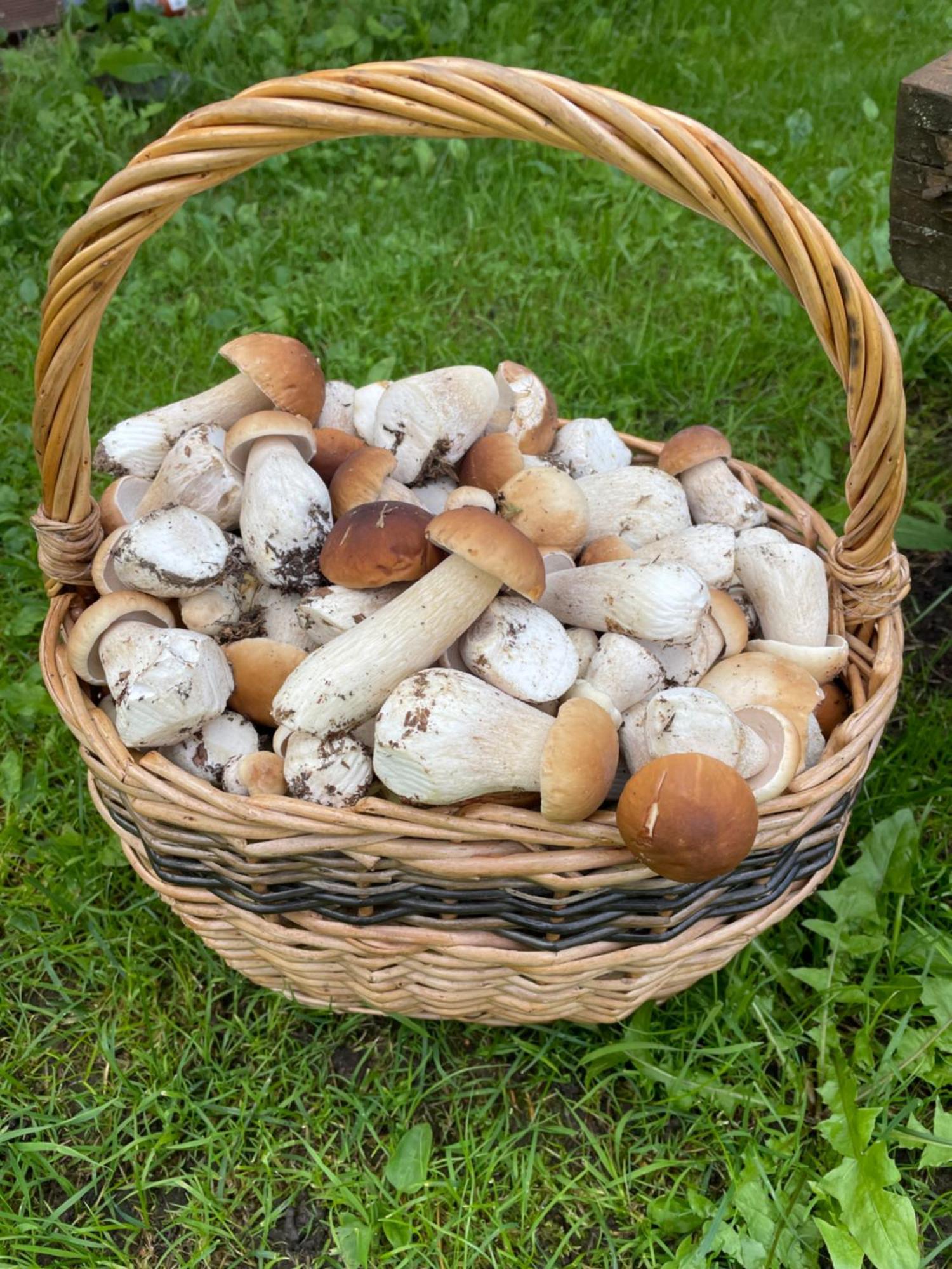Hébergement de vacances Ezera Perle